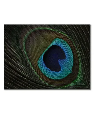 Peacock Feather Eye - obraz na płótnie