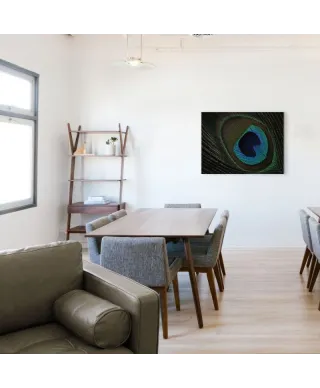 Peacock Feather Eye - obraz na płótnie