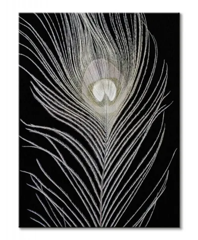 White Peacock Feather - obraz na płótnie