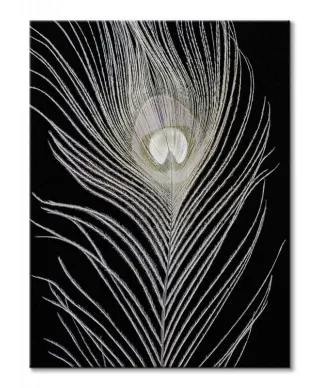 White Peacock Feather - obraz na płótnie