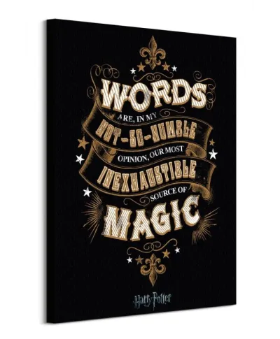 Harry Potter Words - obraz na płótnie