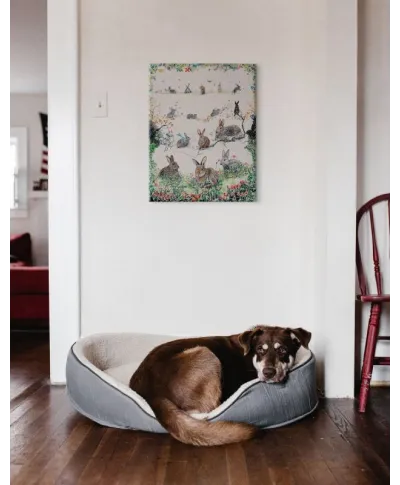 A Rabbit For All Seasons - obraz na płótnie