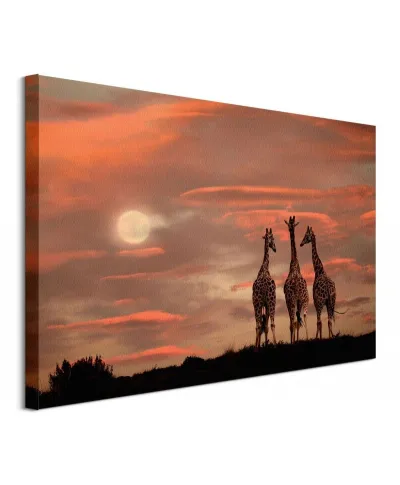 Moonrise Giraffes - obraz na płótnie