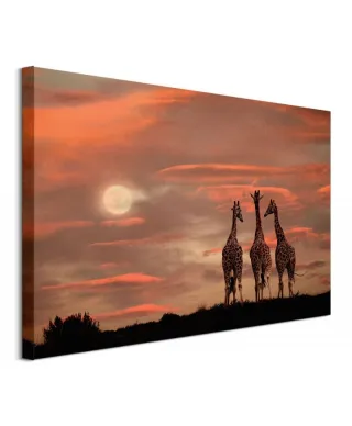 Moonrise Giraffes - obraz na płótnie