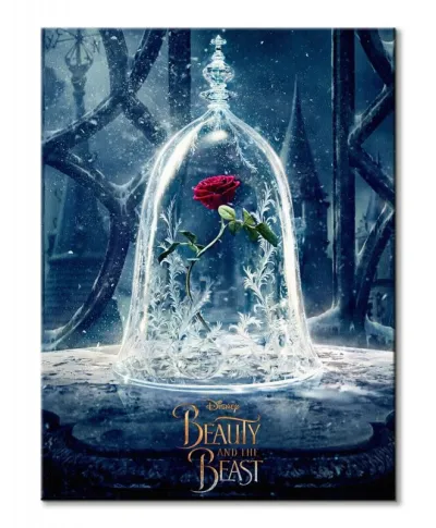 Beauty And The Beast Movie (Enchanted Rose)  - obraz na płótnie