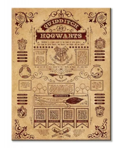 Harry Potter (Quidditch At Hogwarts)  - obraz na płótnie