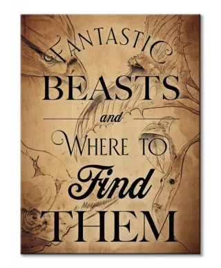 Obraz Ścienny - Fantastyczne bestie Fantastic Beasts (Beast Drawings)