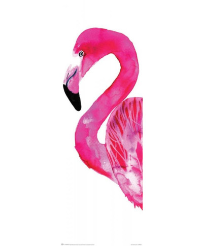Flamingo - plakat