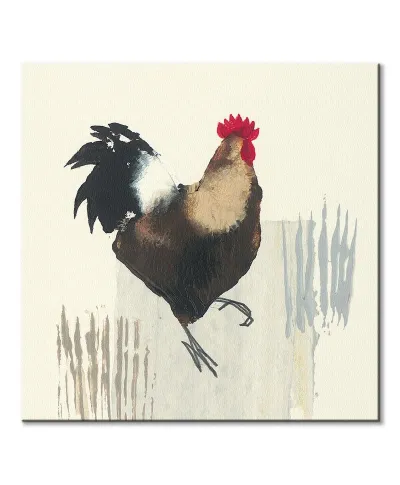 Cockerel - obraz na płótnie