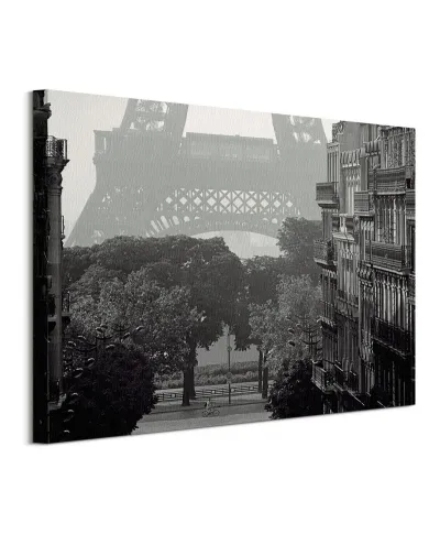 Eiffel Tower, Paris - obraz na płótnie