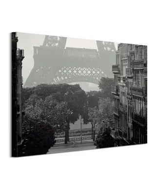 Eiffel Tower, Paris - obraz na płótnie