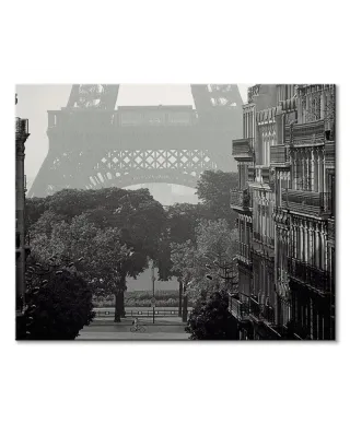 Eiffel Tower, Paris - obraz na płótnie