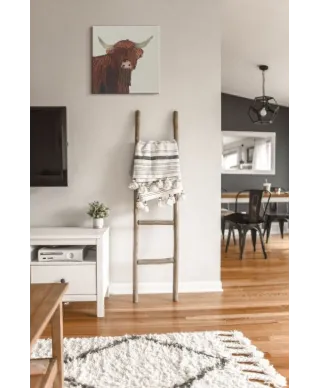 Highland Cow - obraz na płótnie