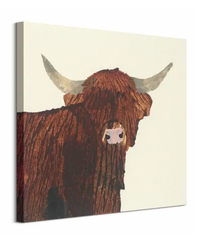Highland Cow - obraz na płótnie