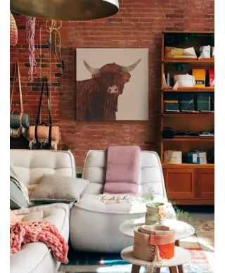 Highland Cow - obraz na płótnie