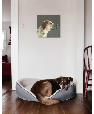 Humphrey - obraz na płótnie