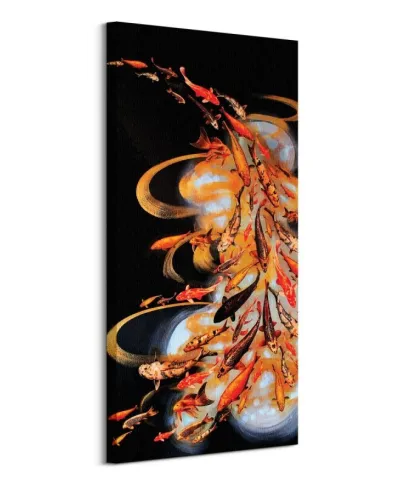 Koi on Black - obraz na płótnie