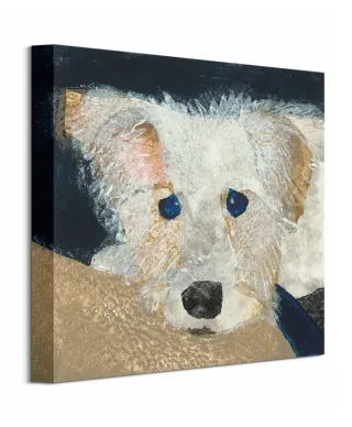 Oscar - obraz na płótnie