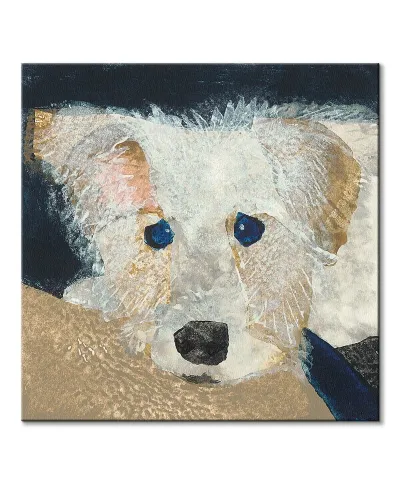 Oscar - obraz na płótnie