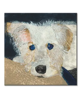 Oscar - obraz na płótnie