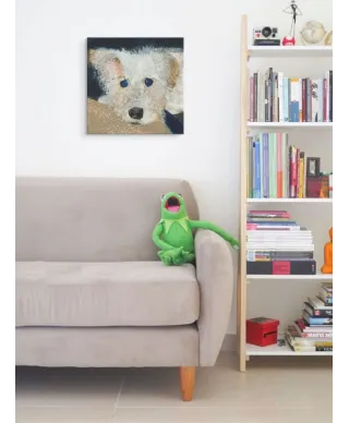 Oscar - obraz na płótnie