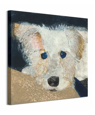 Oscar - obraz na płótnie