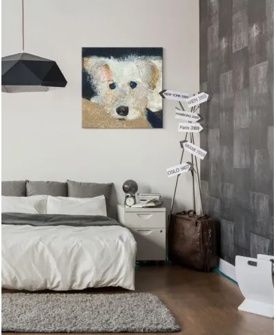 Oscar - obraz na płótnie