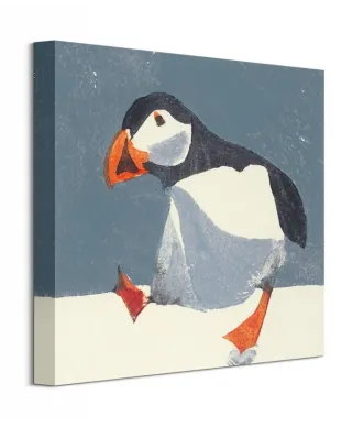 Puffin - obraz na płótnie