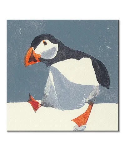 Puffin - obraz na płótnie