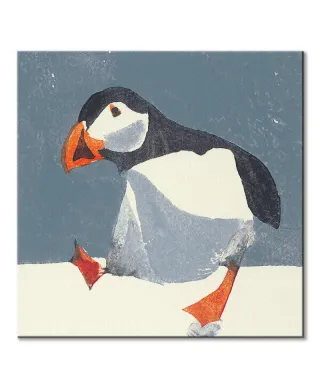 Puffin - obraz na płótnie