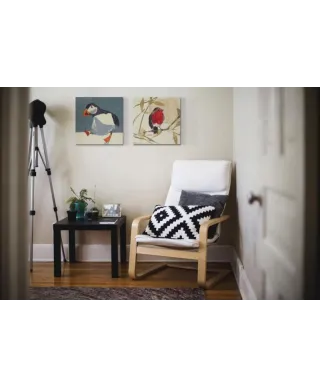 Puffin - obraz na płótnie