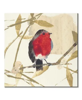 Robin - obraz na płótnie