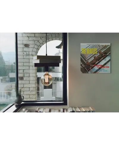 The Beatles Please Please Me - obraz na płótnie