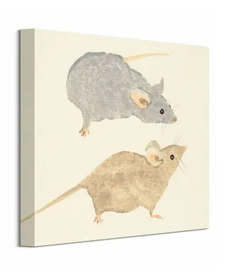 Timid Mice - obraz na płótnie
