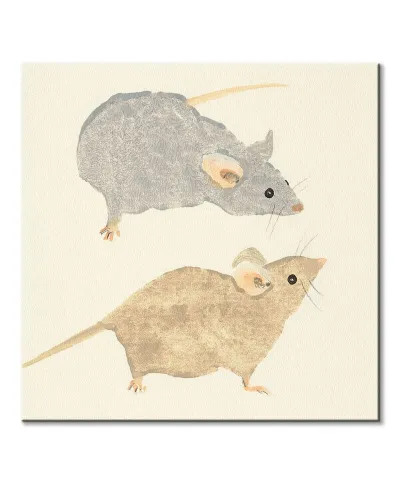 Timid Mice - obraz na płótnie