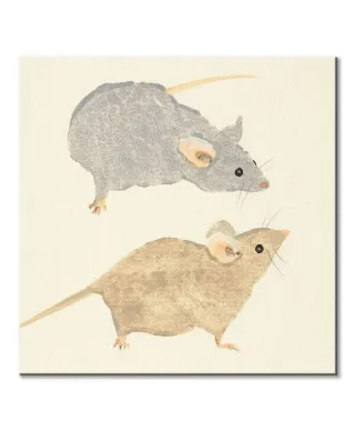 Timid Mice - obraz na płótnie