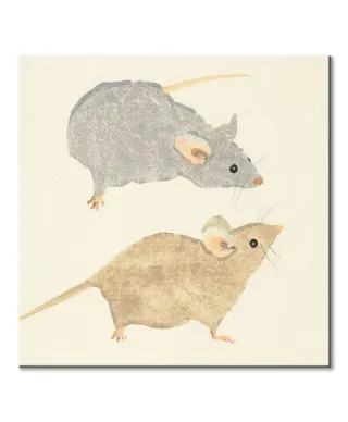 Timid Mice - obraz na płótnie