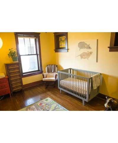 Timid Mice - obraz na płótnie