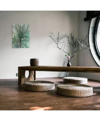 Obraz ścienny - Yucca - Jukka - 40x50 cm