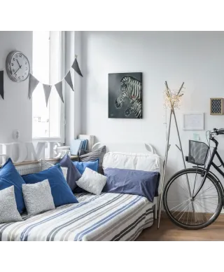 Obraz na ścianę - Z is for Zebra - 40x50 cm