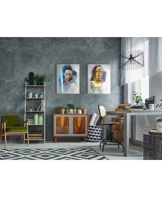 Obraz filmowy - Star Wars: Ostatni Jedi (Rey Brushstroke) - 60x80 cm