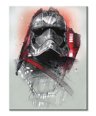 Obraz na ścianę - Star Wars: Ostatni Jedi (Captain Phasma Brushstroke) - 60x80 cm