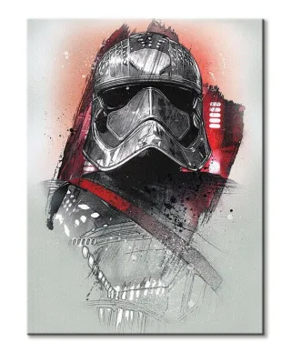 Obraz na ścianę - Star Wars: Ostatni Jedi (Captain Phasma Brushstroke) - 60x80 cm