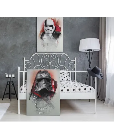 Obraz na ścianę - Star Wars: Ostatni Jedi (Captain Phasma Brushstroke) - 60x80 cm