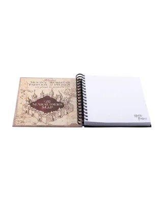Harry Potter (Wanted Sirius Black) - notes
