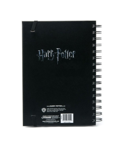 Harry Potter (Wanted Sirius Black) - notes