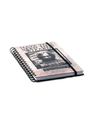 Harry Potter (Wanted Sirius Black) - notes