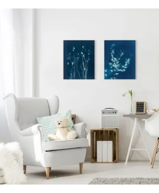 Bougainvillea - obraz na płótnie