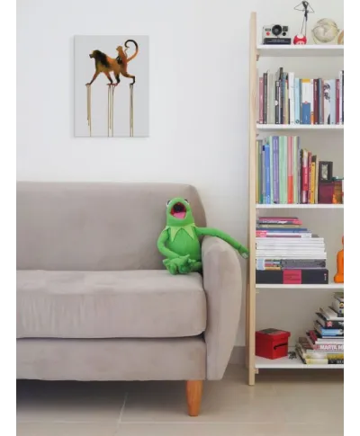 Baboons - obraz na płótnie