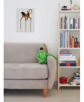 Baboons - obraz na płótnie